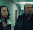 Aflevering 8