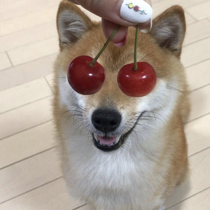 Foto de perfil de Bia