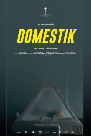 Poster 1 de Filme Domestique (2018)
