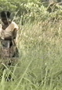 A Colheita do Diabo (A Colheita do Diabo)