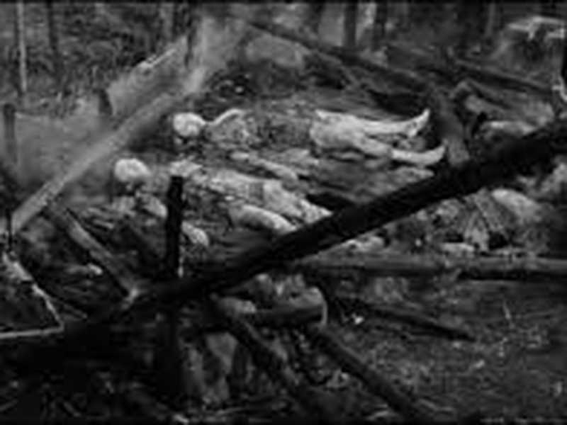 Foto 3 de O Gato Preto