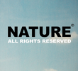 Natureza: Todos os direitos reservados