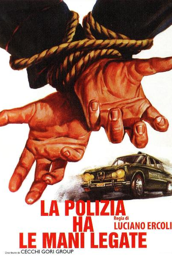 Poster de Filme Portrait of a 60% Perfect Man (1975)