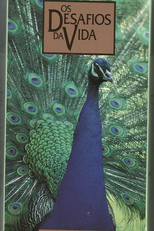 Os Desafios da Vida - A Corte (Life on Earth)