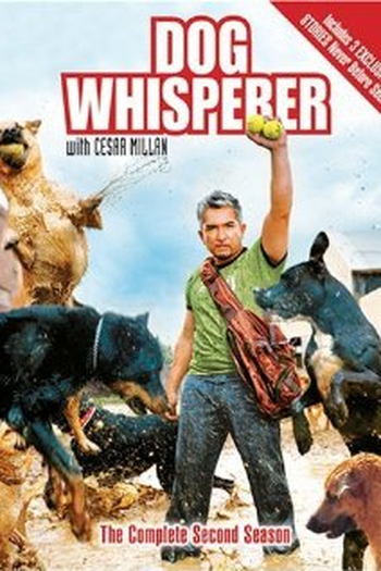 Poster de Série O Encantador de Cães (2004)