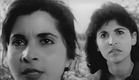 Jamila, the Algerian