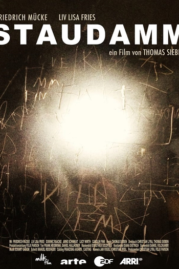 Poster de Filme A Represa (2013)