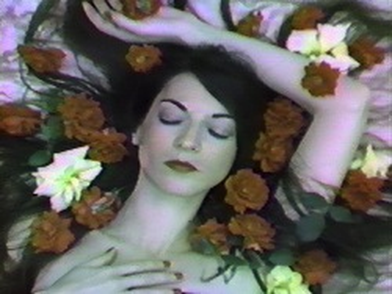 Foto 1 de Possibly in Michigan