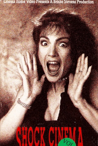 Poster 1 de Filme Shock Cinema Vol. 3 (1991)