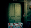 It Lives in the Attic