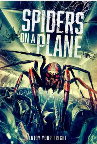 Poster 1 de Filme Spiders on a Plane (2024)