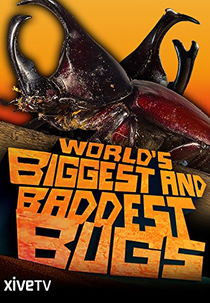 World's Biggest and Baddest Bugs (World's Biggest and Baddest Bugs)