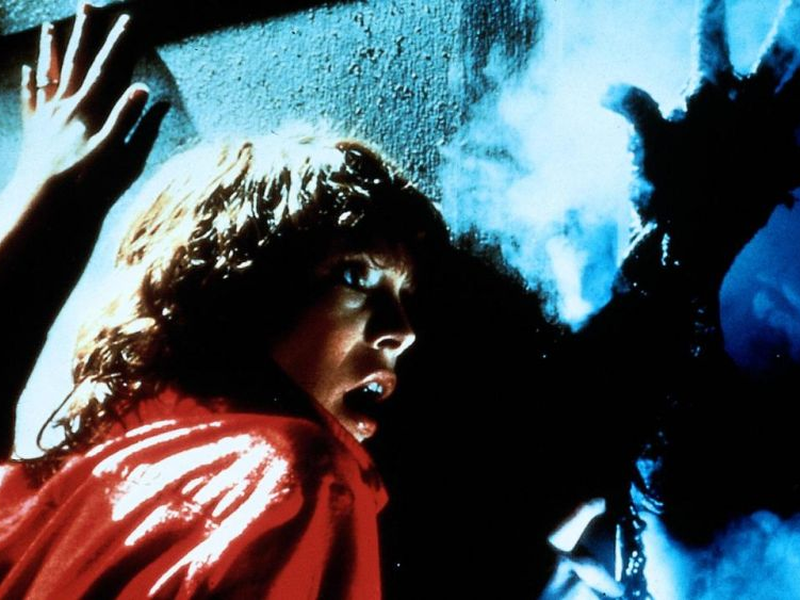 Foto 22 de A Bruma Assassina