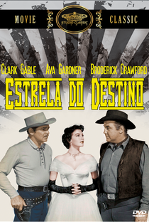 Estrela do Destino - Poster / Capa / Cartaz - Oficial 2