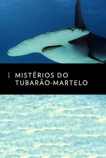Mistérios do Tubarão-Martelo - Poster / Capa / Cartaz - Oficial 1