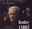 Irmão André