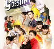 Y Destiny