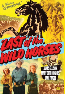 Desfiladeiro da Morte (Last of the Wild Horses)