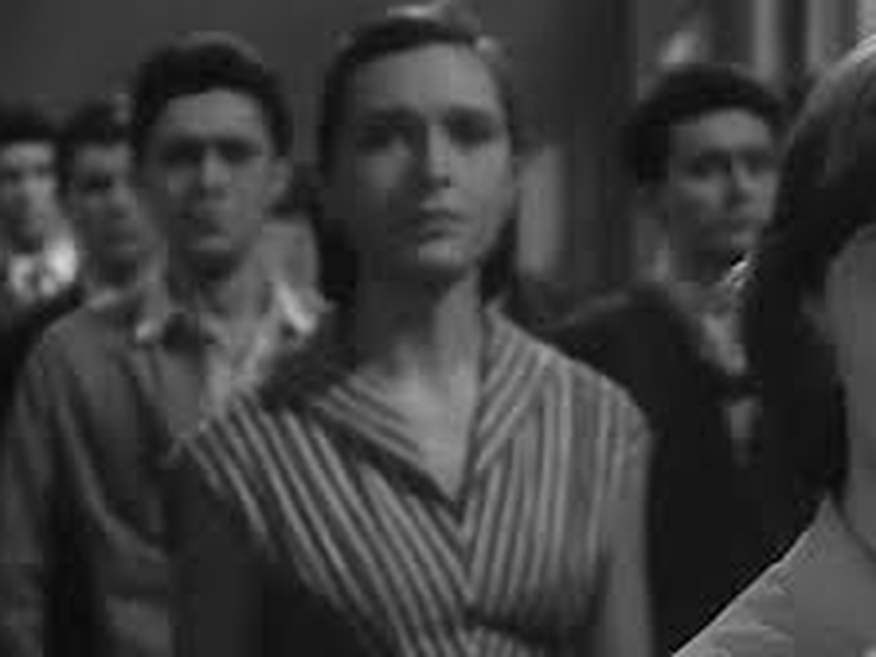 Foto 8 de Higher Principle