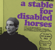A Stable for Disabled Horses