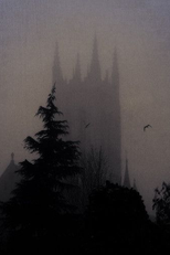 Contos Negros da Transilvânia (Dark Tales of Transylvania)