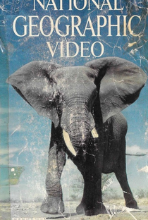National Geographic Video - Elefante - Poster / Capa / Cartaz - Oficial 1
