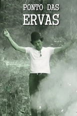 Ponto das Ervas (Ponto das Ervas)