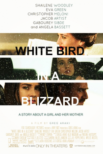 Pássaro Branco na Nevasca - Poster / Capa / Cartaz - Oficial 1