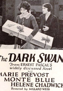 Amor Sincero e Leviano (The Dark Swan)