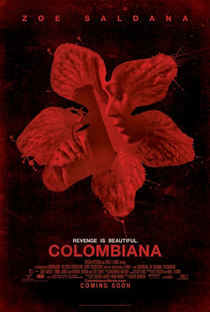 Colombiana: Em Busca de Vingança - Poster / Capa / Cartaz - Oficial 2
