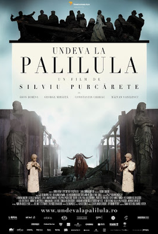 Poster 1 de Filme Somewhere in Palilula (2012)