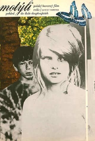 Poster 1 de Filme Motyle (1973)