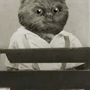 Foto de perfil de marina