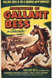Adventures of Gallant Bess - Poster / Capa / Cartaz - Oficial 1