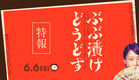 なんでも言葉通りに受け取ったらあかんで【2025.6.6(金)公開】『ぶぶ漬けどうどす』特報映像