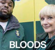 Bloods (2ª Temporada)