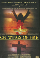 Asas de Fogo (On Wings of Fire)