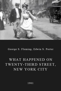 O Que Aconteceu na Rua 23, Nova Iorque - Poster / Capa / Cartaz - Oficial 1