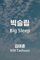Big Sleep (빅슬립)