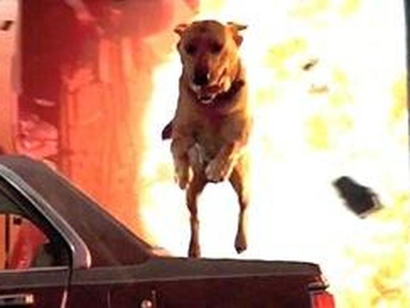 Foto 10 de Independence Day