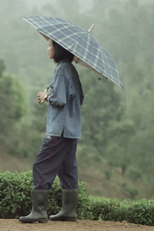 The Wrong Light (The Wrong Light)