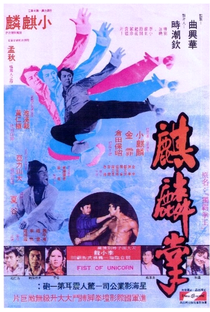 Bruce Lee - O Punho Demolidor - Poster / Capa / Cartaz - Oficial 3
