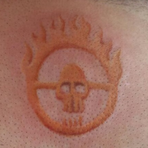 Foto de perfil de Paulo Latorraca