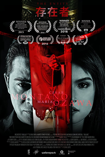 Poster de Filme Entidade (2017)