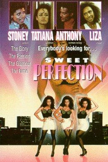 Poster de Filme O Modelo Perfeito (1988)