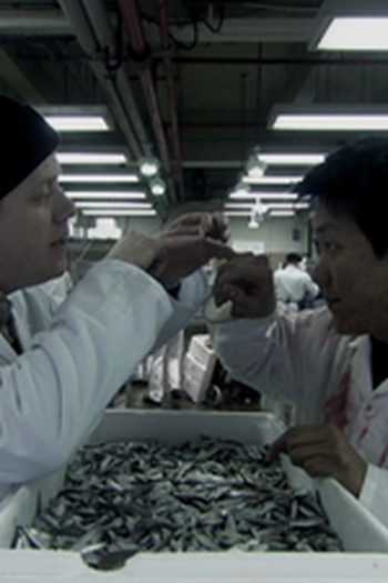 Poster de Episódio Blue Rat (2002)