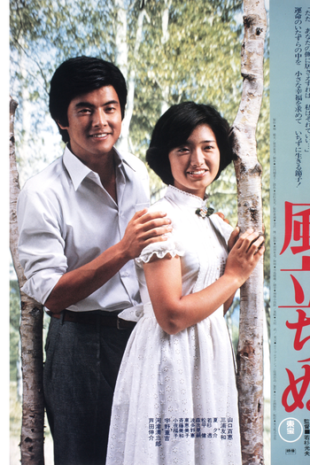 Poster de Filme Autumn Interlude (1976)