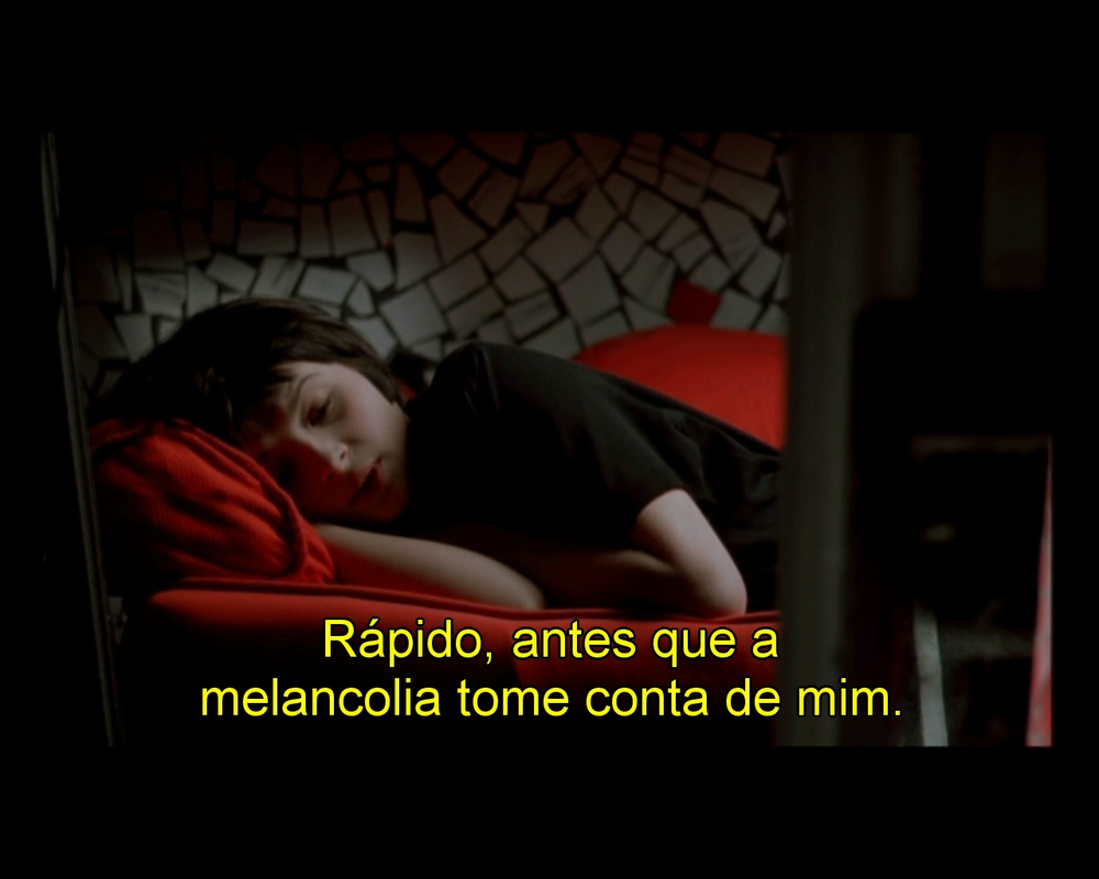 t - Foto 3