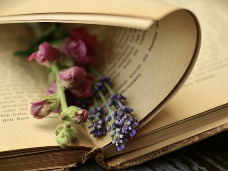 Foto 2 de Jane Austen: Behind Closed Doors