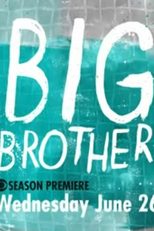 Big Brother US (15ª Temporada) (Big Brother US (15ª Temporada))